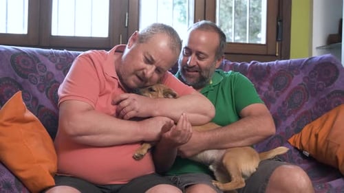 Men on Couch Play with Small Tan Dog