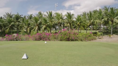 Tropical Golf Course on a Sunny Day