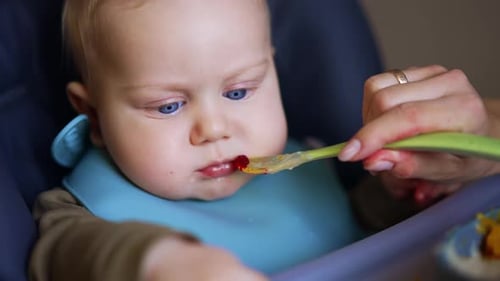 Adorable Infant Being Fed by Adult Indoors