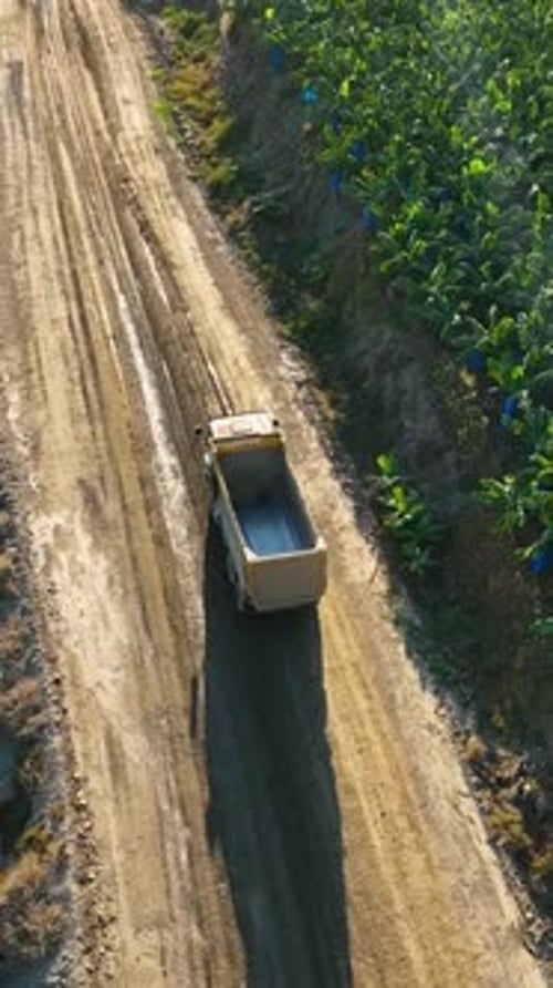 Vertical Video Machine Transports Soil to the Construction Site