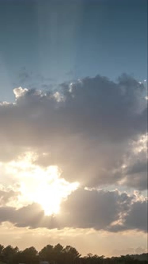Sky Through Trees in Vertical