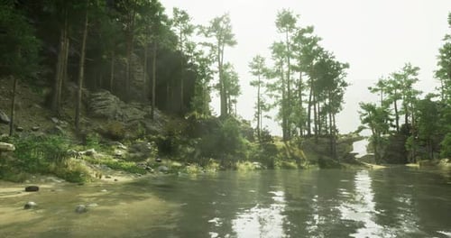 Lush Forest Landscape with a Tranquil River in a Serene Setting