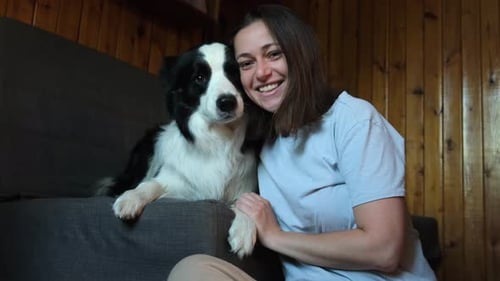 Lächelnde junge Frau streichelt und spielt mit süßem Hundewelpen Border Collie auf dem Couchsofa zu Hause drinnen