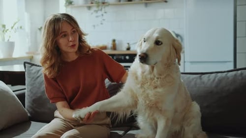 Woman Giving Paw to Golden Retriever on Couch