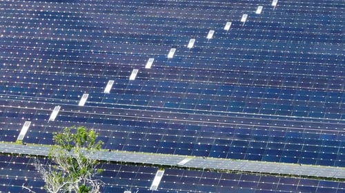 Sustainable Electrical Power Plant with Rows of Solar Photovoltaic Panels for Producing Clean