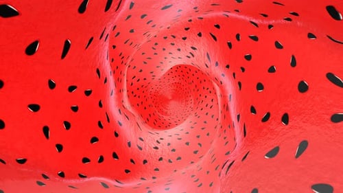 Inside a Watermelon Fruit Tunnel, Background, Loop