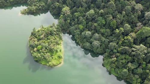 Overhead perspective of tropical forest and serene lake