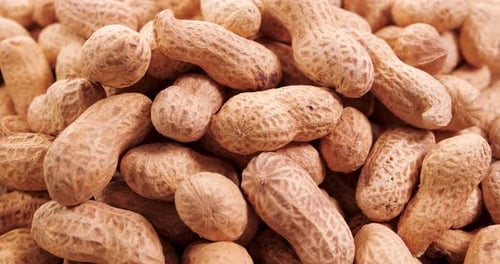 Pile of Peanuts in Shells Close-Up