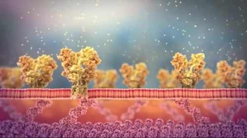 Molecular Biology Animation of Protein Interaction on Cell Membrane