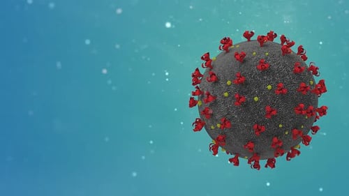 Visualization of Virus Structure and Its Surface Characteristics