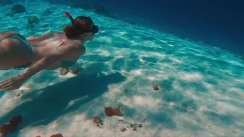 Female Freediver in Bikini Swims Underwater in the Tropical Sea and Glides Over the Sandy Bottom