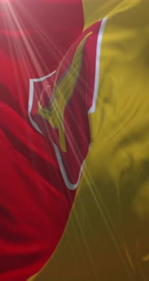 Waving Flag with Coat of Arms in Red and Yellow for Vertical Video