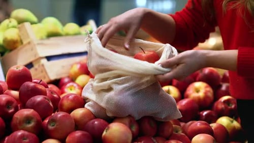 Mujer recogiendo manzanas en una bolsa reutilizable en una tienda. Temáticas del Día de la Tierra y la Ecología