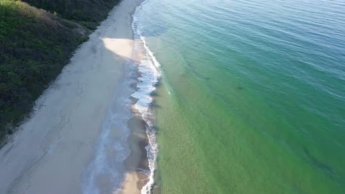 Beach Between a Ledge Covered with Vegetation and a Black Sea Under a Clear Blue Sky