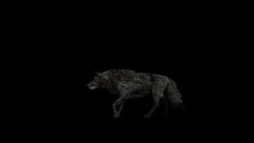 Black Wolf Walk Loop