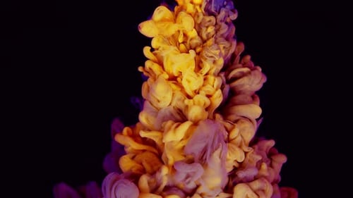 Fluid Art Particles in Red Blue Yellow and White Mix Color on Black Background