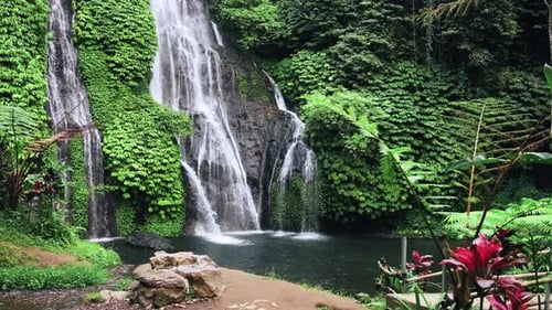 View on Water of Mountain Waterfall Falling in Green Nature of Forest Landscape
