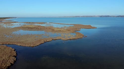 Peaceful shallow lagoon with reeds and brown dry grass surrounded by clear transparent water on a su