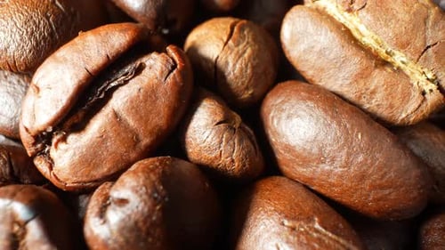 Roasted coffee beans in close-up.