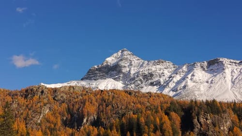 Vista aérea de Mufulé Valmalenco con alerces otoñales y montañas cubiertas de nieve