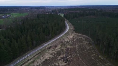 A Road Cutting Through a Dense Forest Under a Scenic Sky