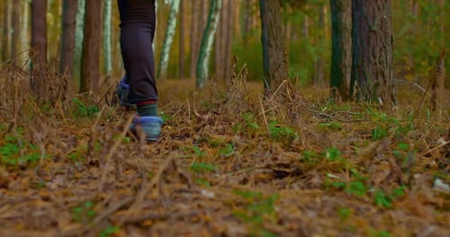 Feet in Boots Go Through the Autumn Forest Fallen Leaves