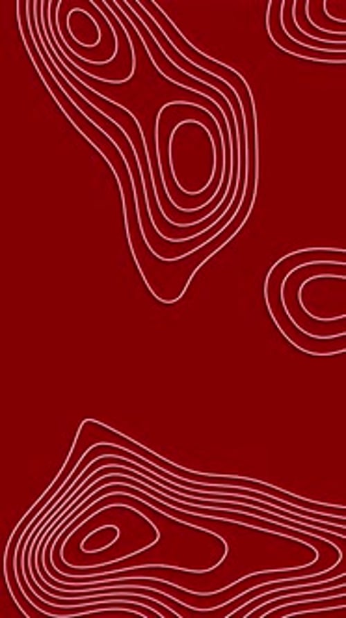 Abstract Flowing Red Contour Line Background Animation