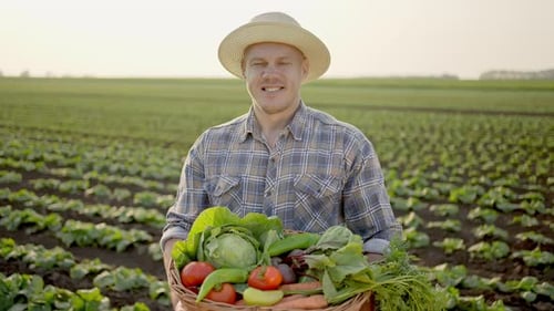 Farmer Man Holding Vegetables in Basket at Field Vegetables in Hands of Man in Garden Food