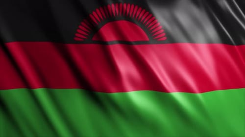 Realistic Waving Flag of Malawi for National Presentations