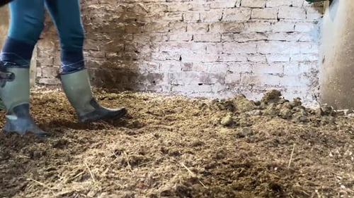 Person Cleaning Manure and Straw in Stable