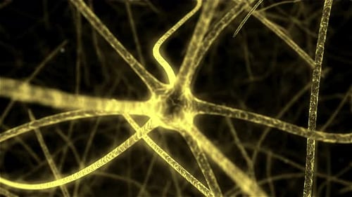 Glowing Abstract Neuron Network Biology Animation