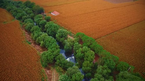 drone view of farmland and trees
