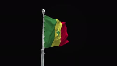 Realistic Waving Senegal Flag Alpha Channel Animation