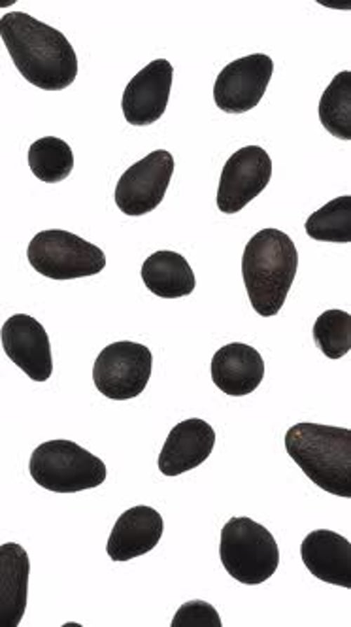 Avocado Fruits Floating and Spinning on White Background