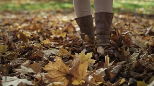 Woman Walks Over Fall Leaves in a Park