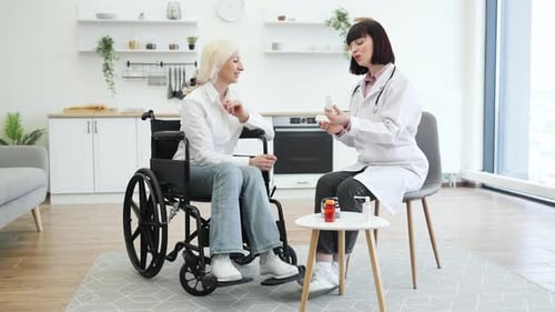 Woman Doctor Talking with a Senior Woman in Wheelchair
