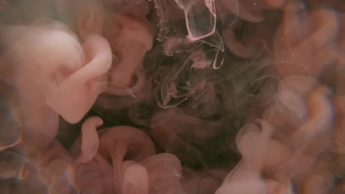 Abstract Smoke Plumes Drifting in Mesmerizing Patterns