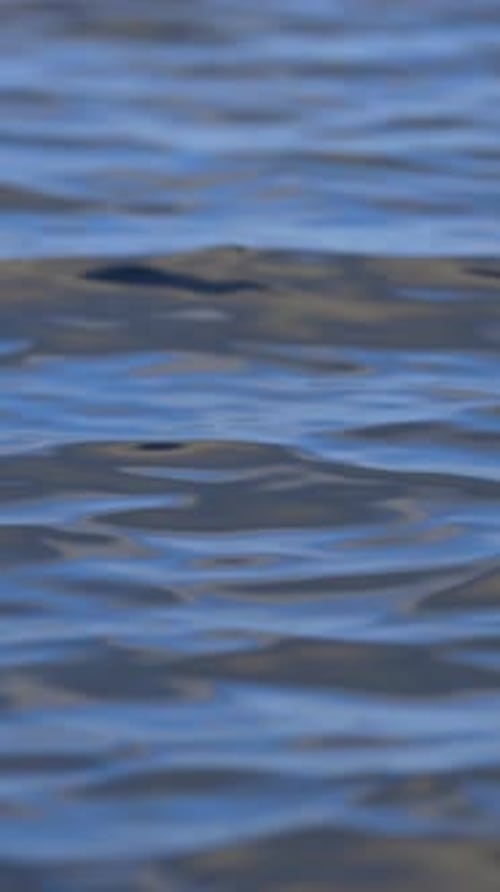 Looped Calm Water Wavy Surface Animation of Wave Motion on Sea Surface Vertical Video