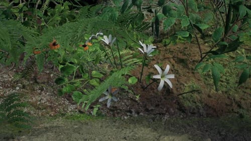Close View Of Exotic Flowers And Green Plants In A Jungle Habitat