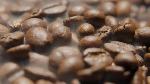 Steaming Pile of Fresh Roasted Coffee Beans