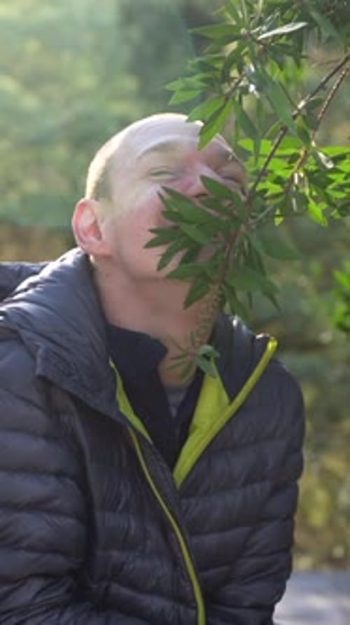Portrait à angle bas d'un heureux homme handicapé contemplant la nature dans un parc urbain par une journée ensoleillée