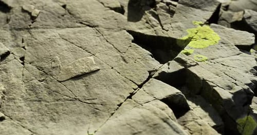 Unique Rock Formations Adorned with Vibrant Lichen Under Bright Sunlight