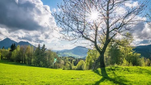 Springtime