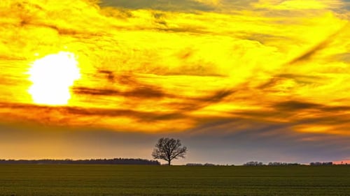 Fiery sunset sky with clouds flowing with silhouette of tree bellow, time lapse view