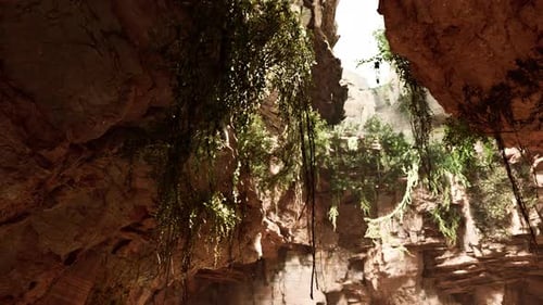 Gran cueva rocosa de hadas con plantas verdes
