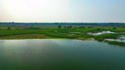 Pond - Drone Shot - Upwards