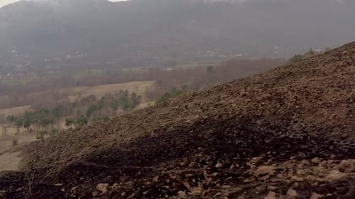 Dry Hillside with Sparse Trees Aerial View