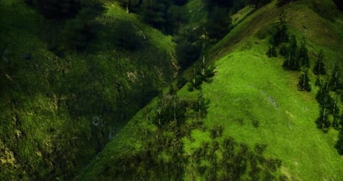 Lush Green Valley with Trees and Hills in Bright Daylight