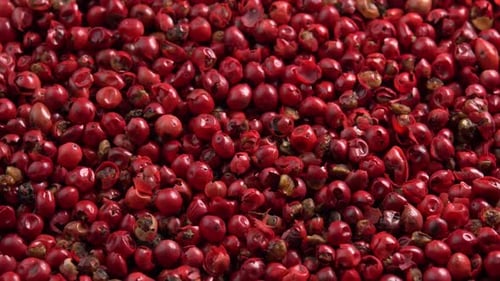 Pink peppercorns or himalayan red pepper berries rotating background in macro top view low light