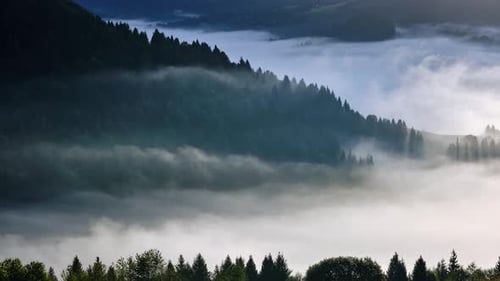 Langsam ziehende Nebelwolken im Bergtal, Zeitraffer der friedlichen Natur